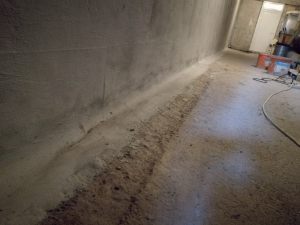 IMG_20171110_094625 (Large)